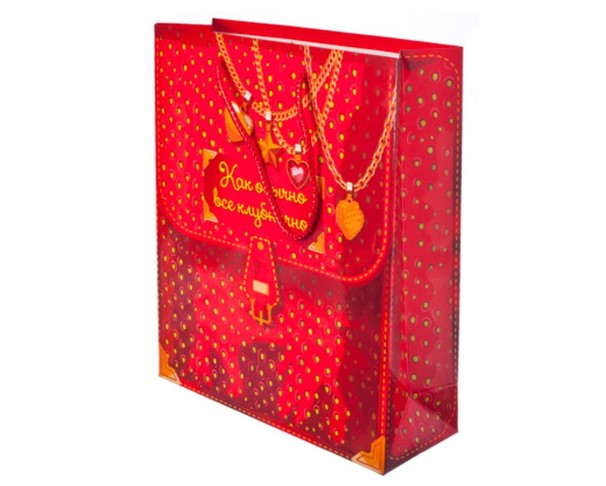 Сумка Люкс Ассорти 23*27*11,5см (м) / интернет-магазин напитков Лоза в Улан-Удэ